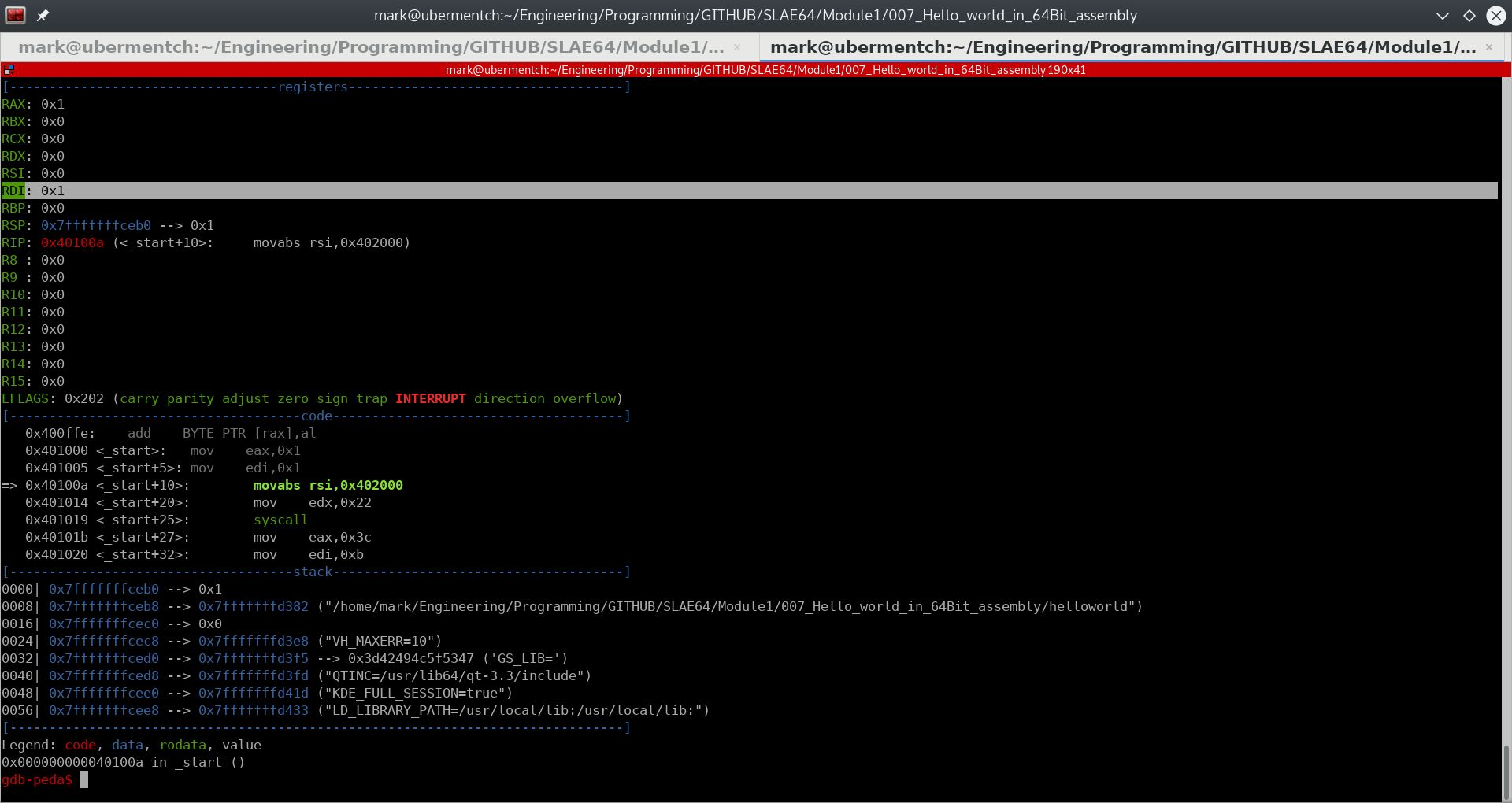 After running step 0x401005 <_start+5>: mov edi,0x1