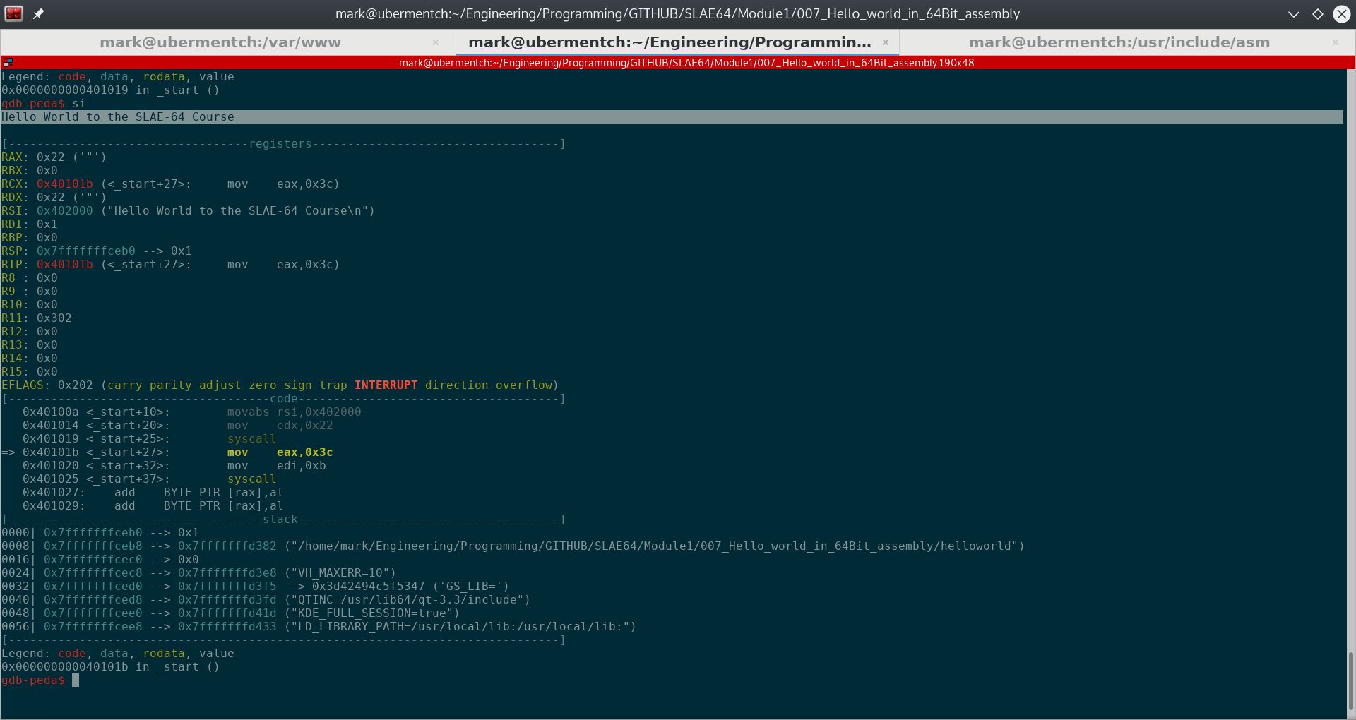 After running step 0x401019 <_start+25>: syscall