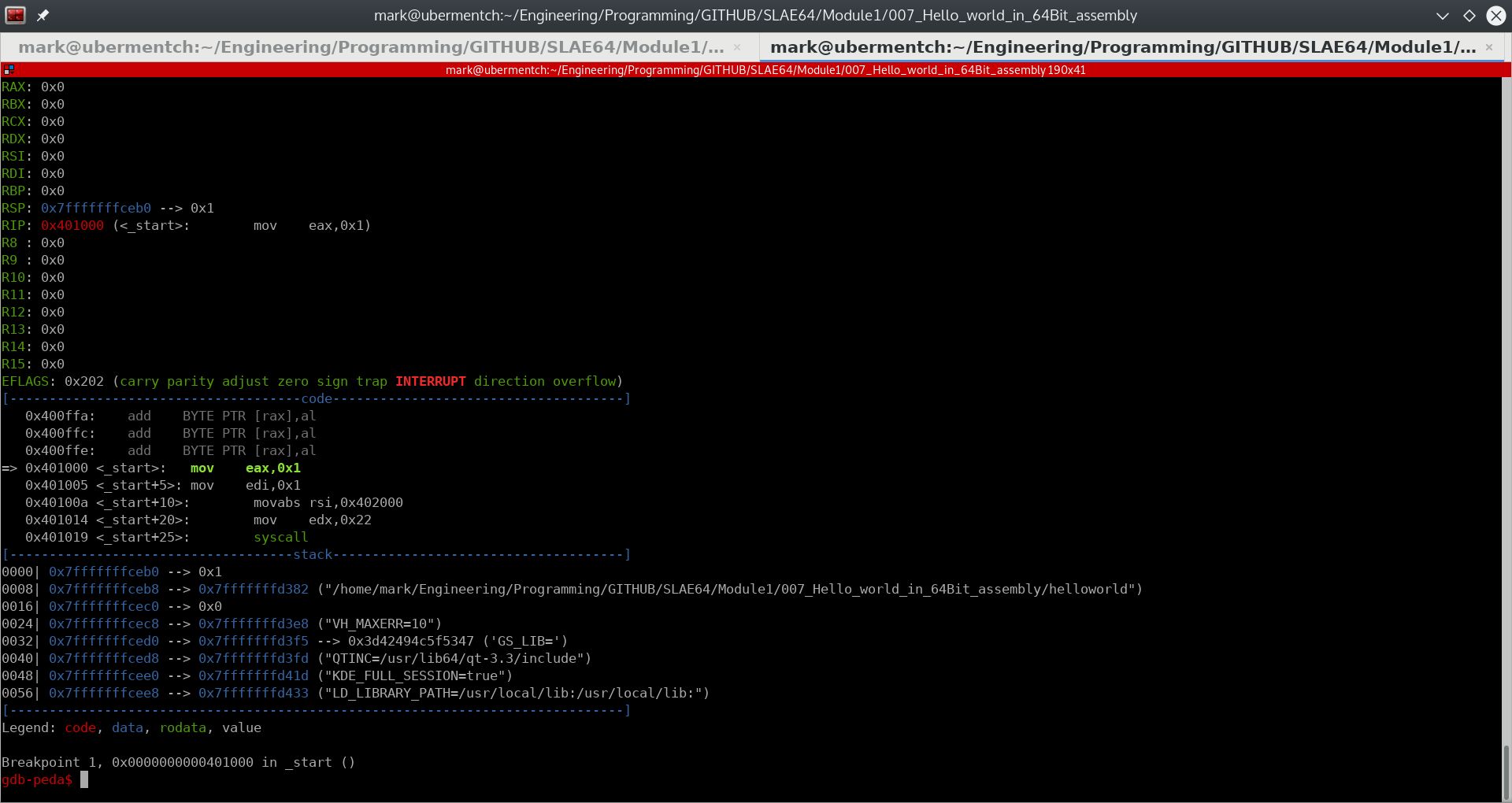 Before running step 0x401000 <_start>: mov eax,0x1