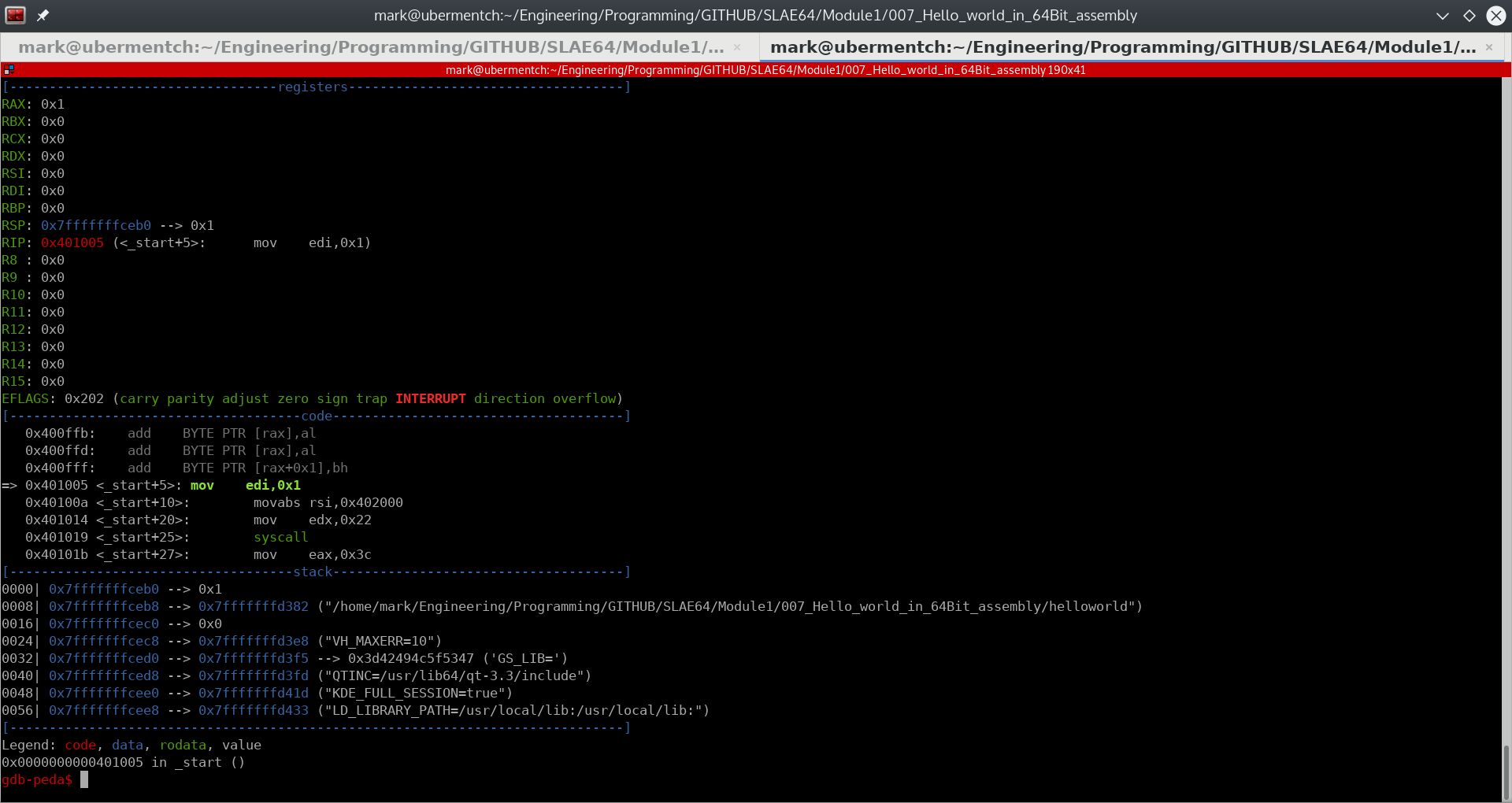 Before running step 0x401005 <_start+5>: mov edi,0x1