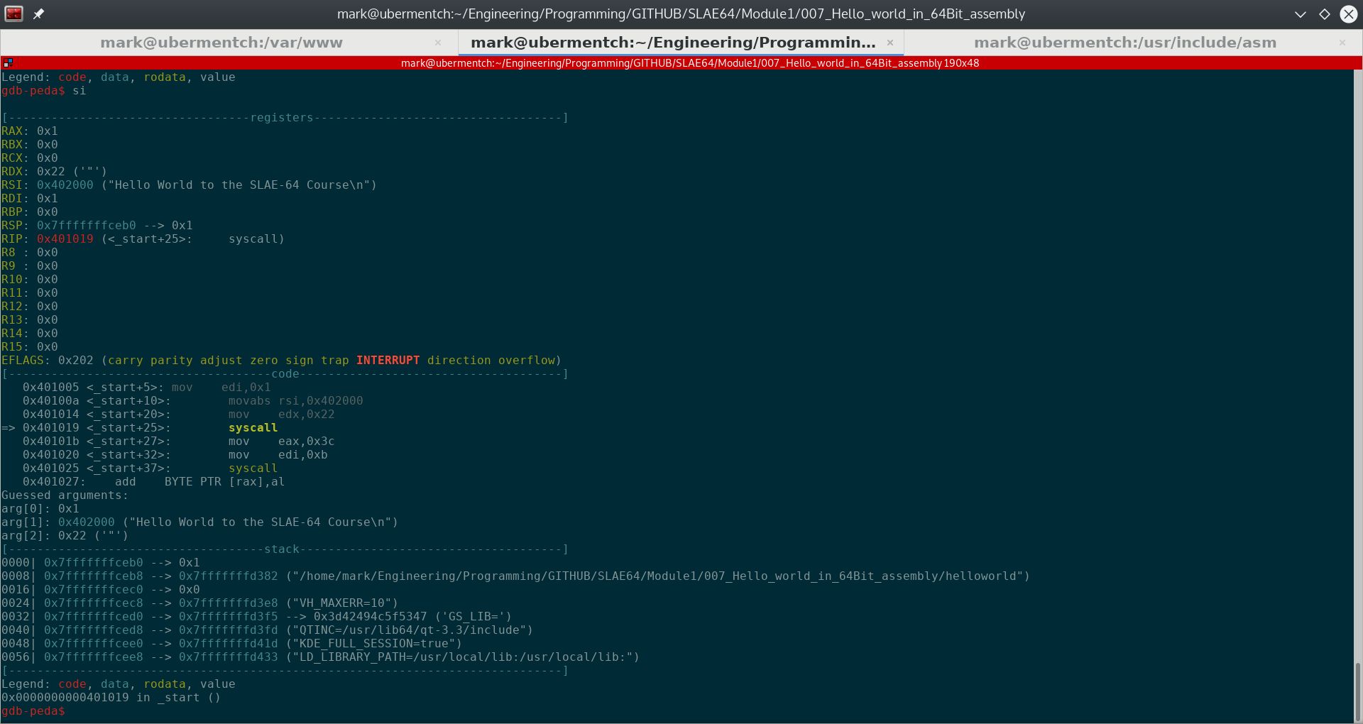 Before running step 0x401019 <_start+25>: syscall