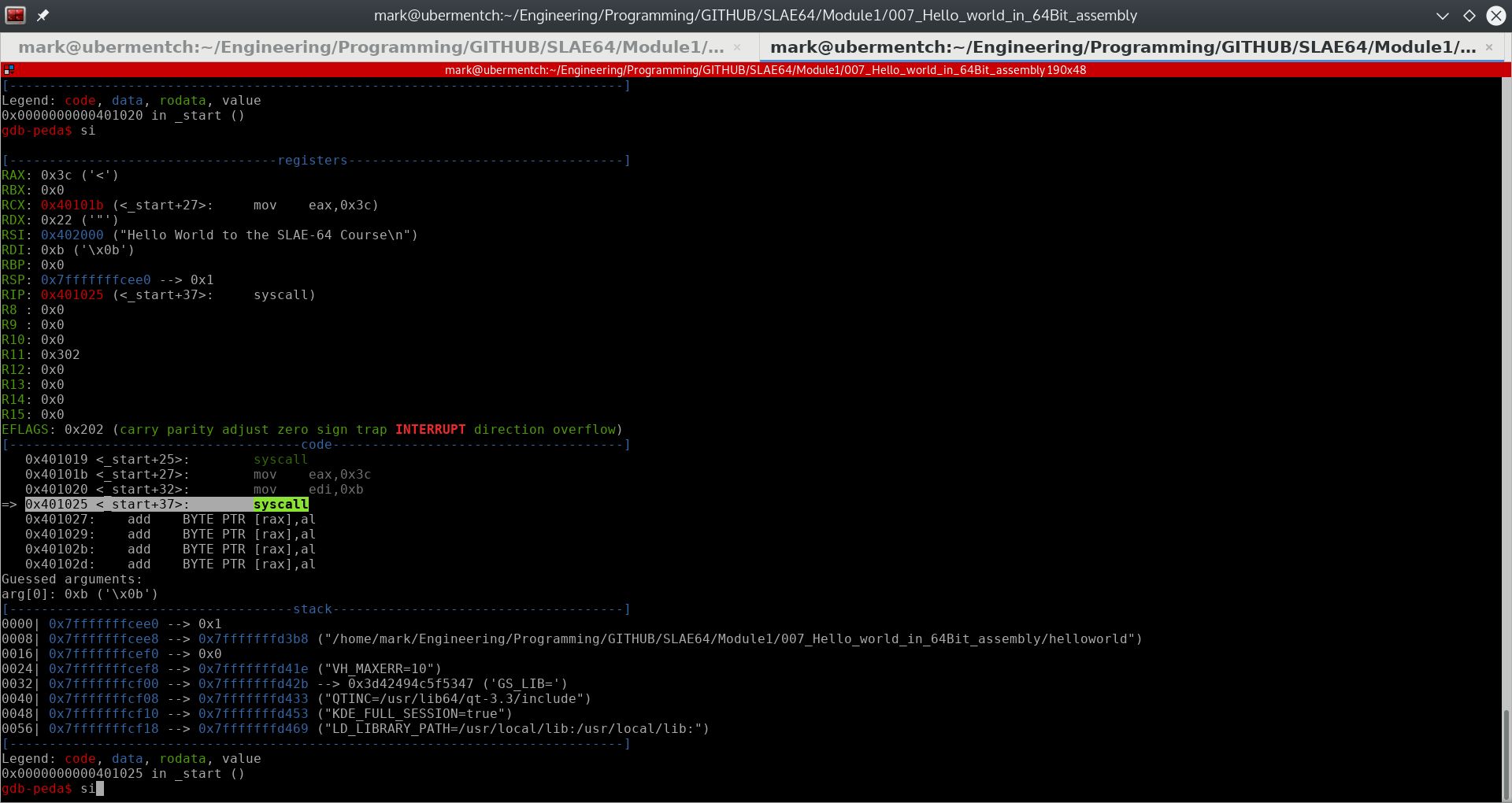 Before running step 0x401025 <_start+37>: syscall