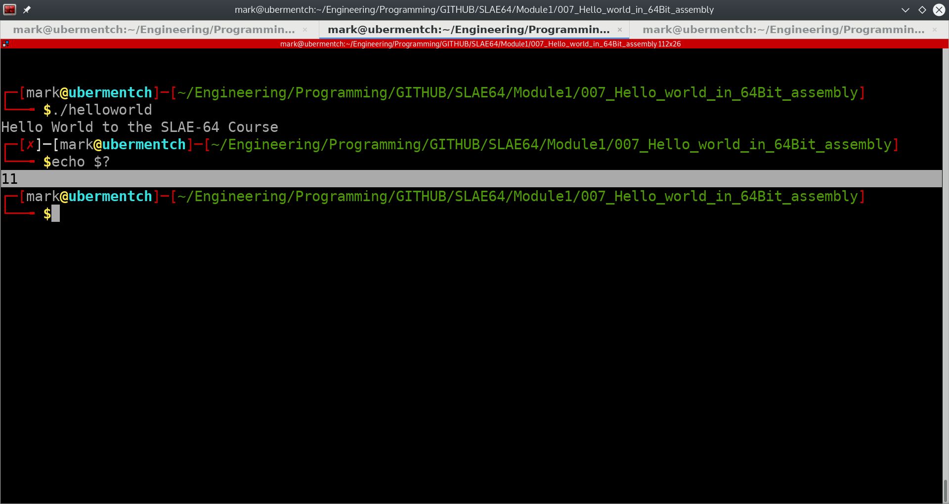 Using the Linux command line to obtain the exit status of a process