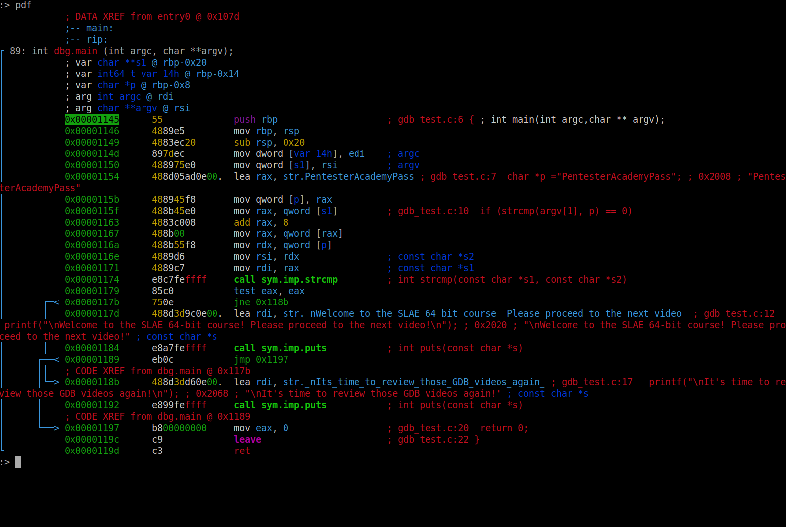 Disassembly of the function *main* in Radare2