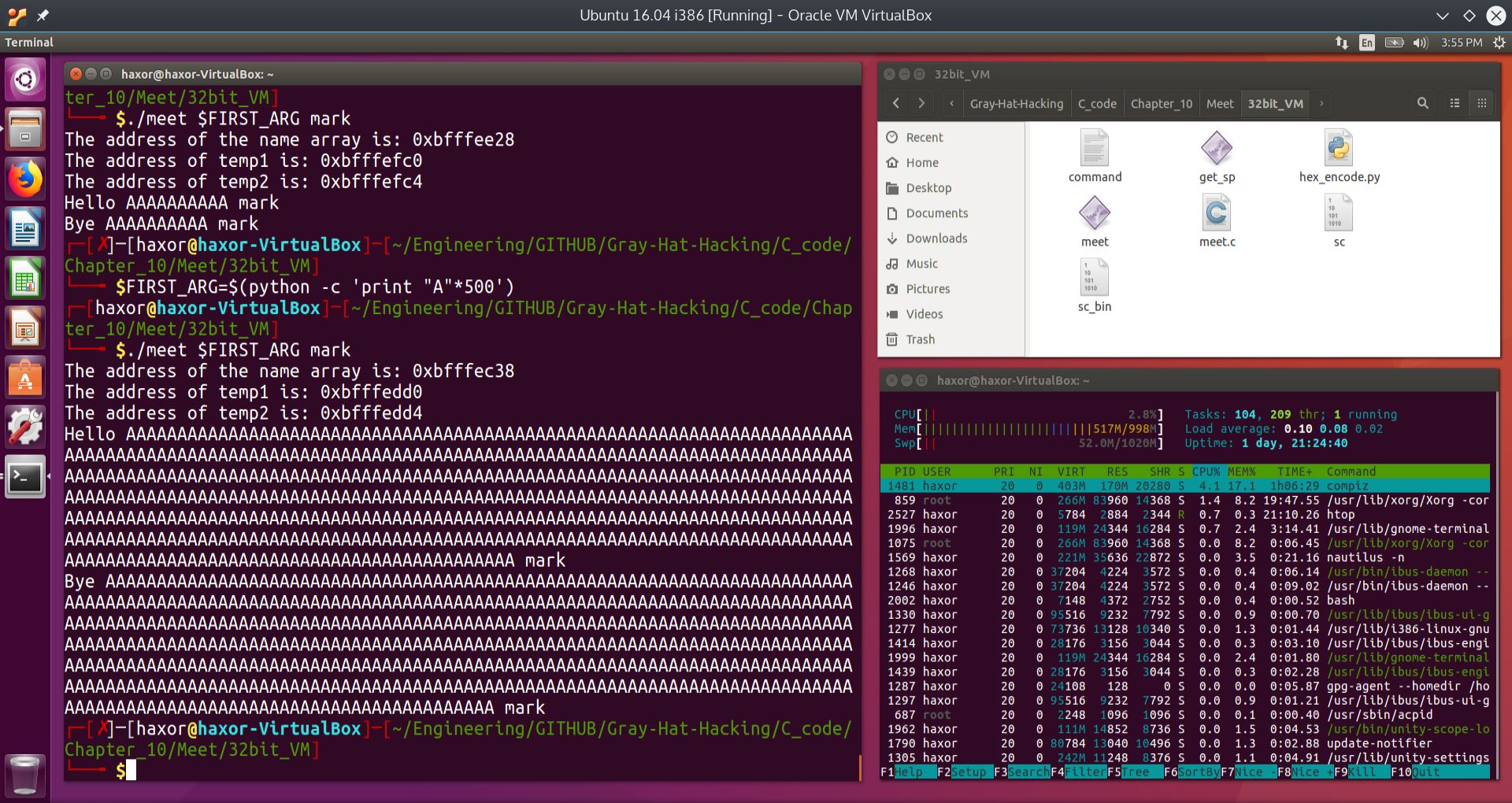 fuzzing_first_arg_to_meet_c.jpg