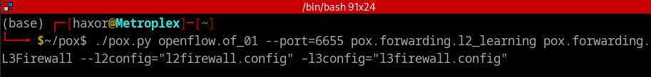 POX Instantiation Command