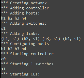 Output of Mininet Command