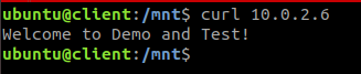 Accessing the Web Server on the Gateway/Server from the Client