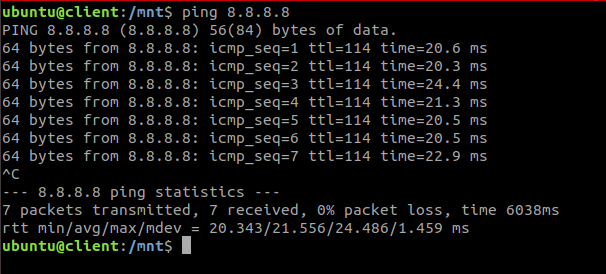 Client Ping to Internet Address 8.8.8.8