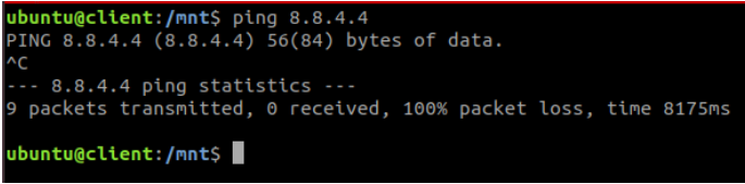 Client Ping to Internet Address 8.8.4.4