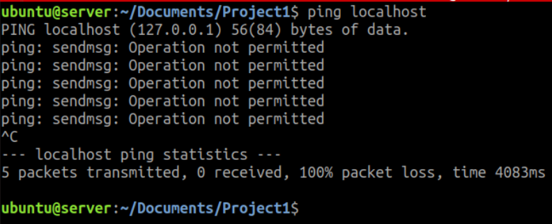 Server Ping to Localhost