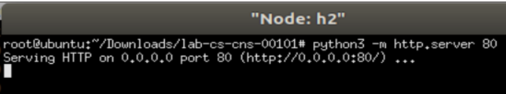 HTTP Server Setup on Host 2