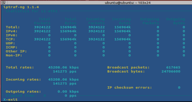Iptraf-ng Output during Packet Flood