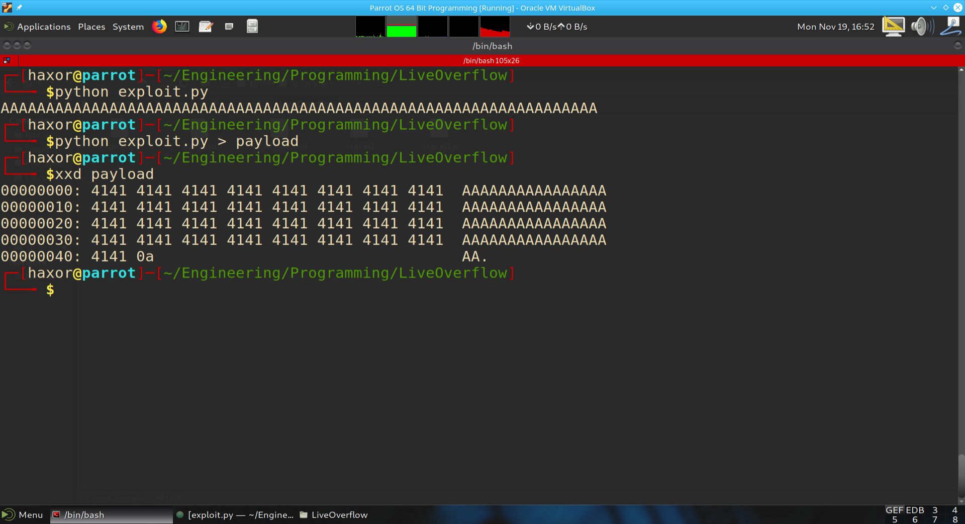 exploit_py_output_and_xxd.jpg